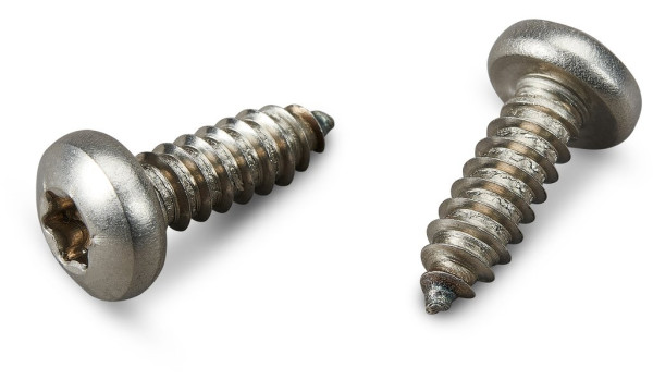 novotegra Blechschraube 6,3x19 TX30 (VPE100)